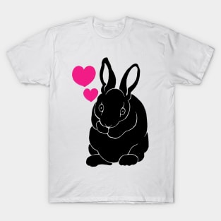 Poe Heart 13 T-Shirt